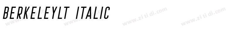 BerkeleyLT Italic字体转换